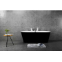 Ванна акриловая отдельностоящая BELBAGNO BB200-1700-800-NERO. Фото