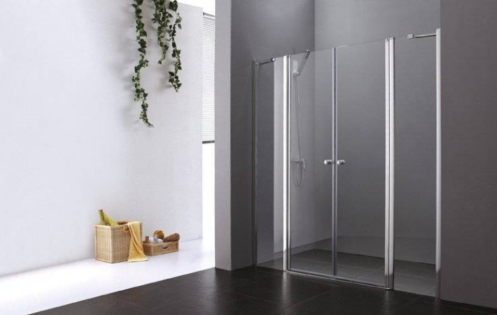 Душевая дверь CEZARES Elena ELENA-W-B-22-240-P-Cr. Фото