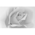 Unitile 010301001885 Декор Камелия 250х400 чёрный 02 Unitile 010301001885 Декор Камелия 250х400 чёрный 02